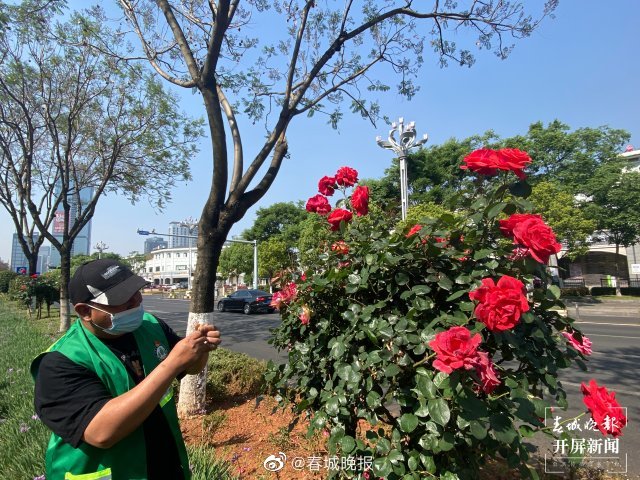 春城晚报