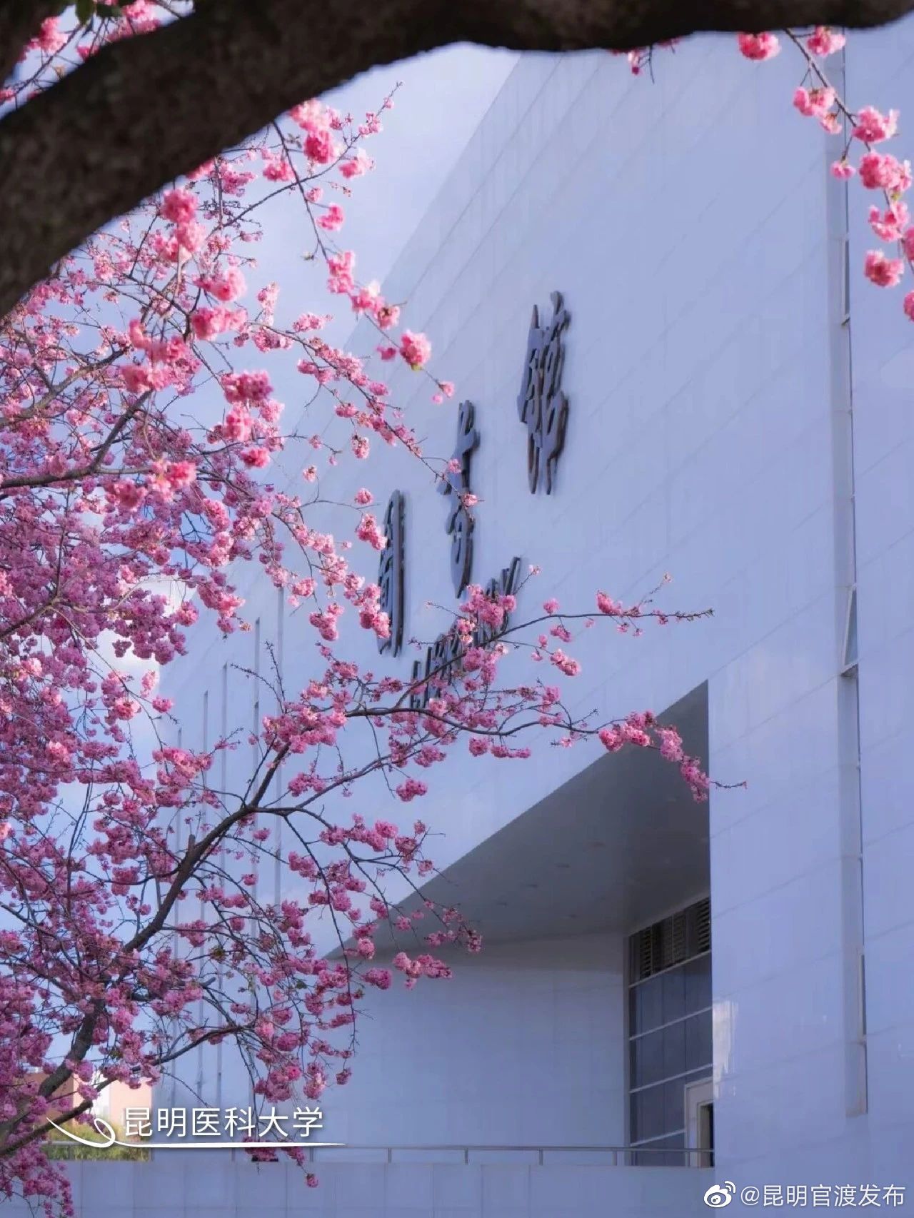 “昆明官渡发布”微博