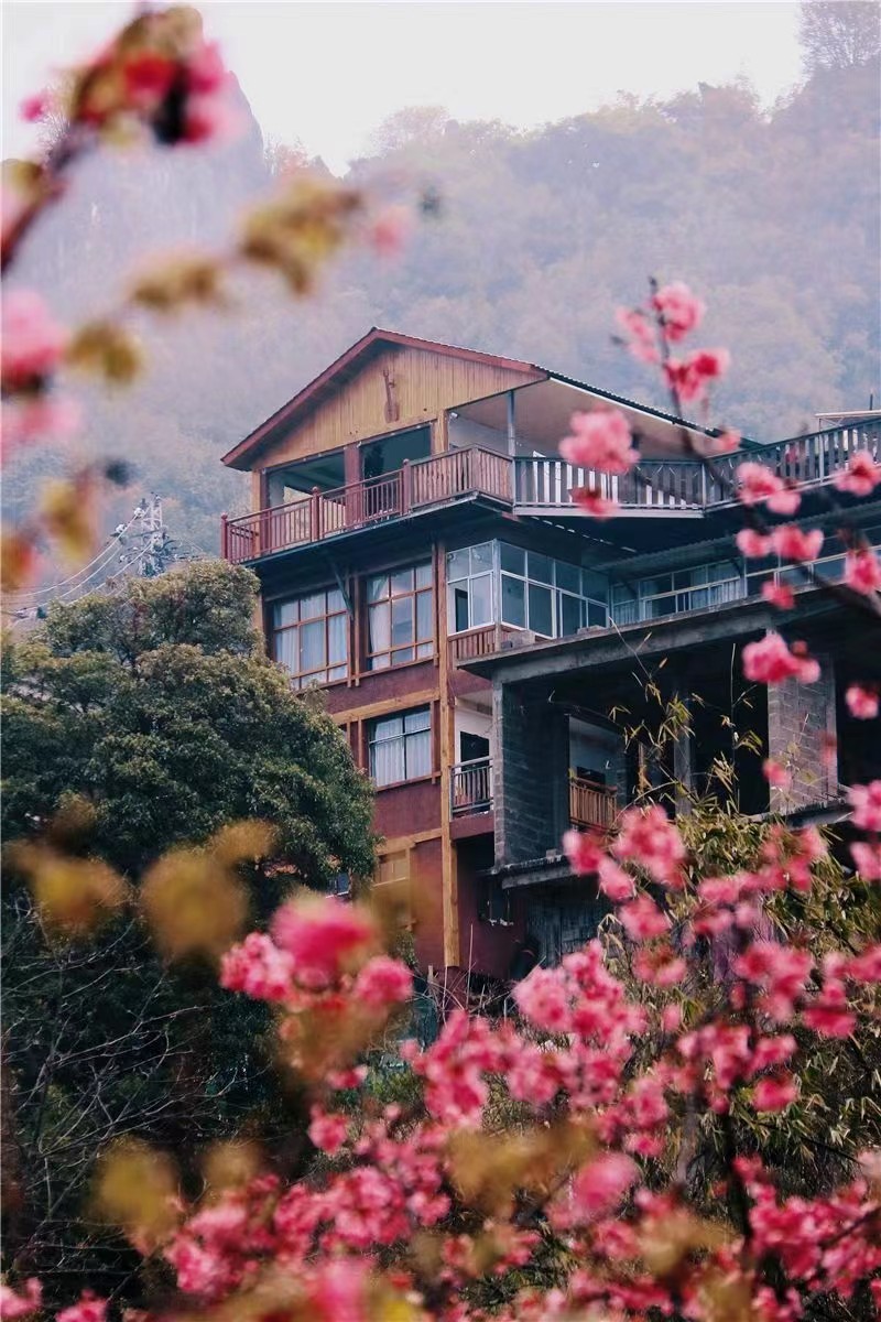 云南省文化和旅游厅