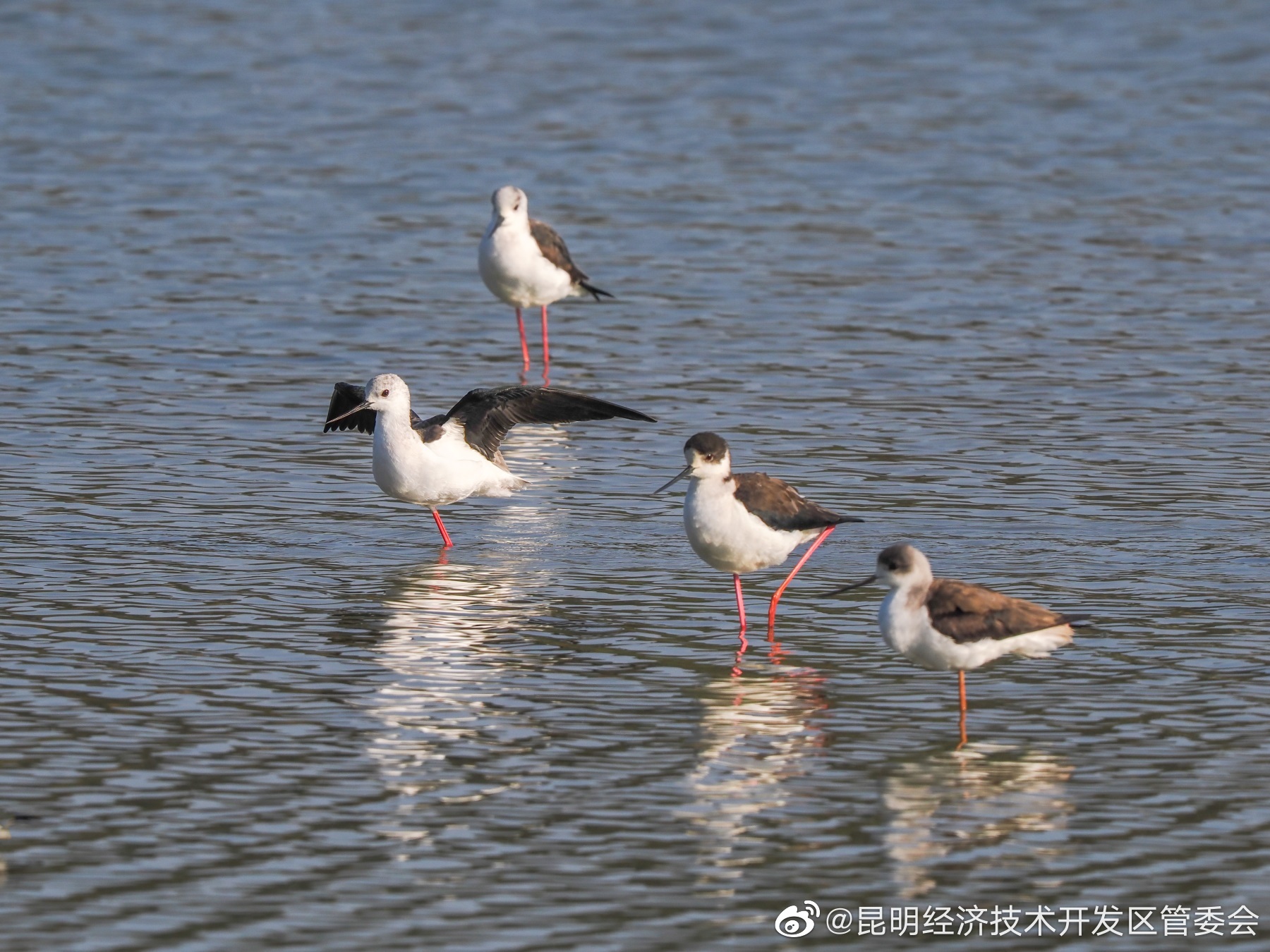 昆明经济技术开发区管委会