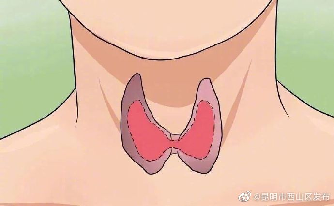 昆明市西山区发布