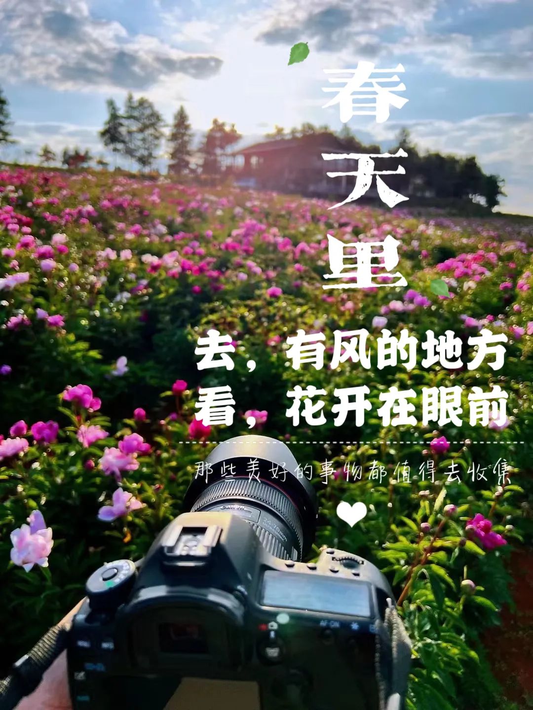 昆明阳宗海风景名胜区