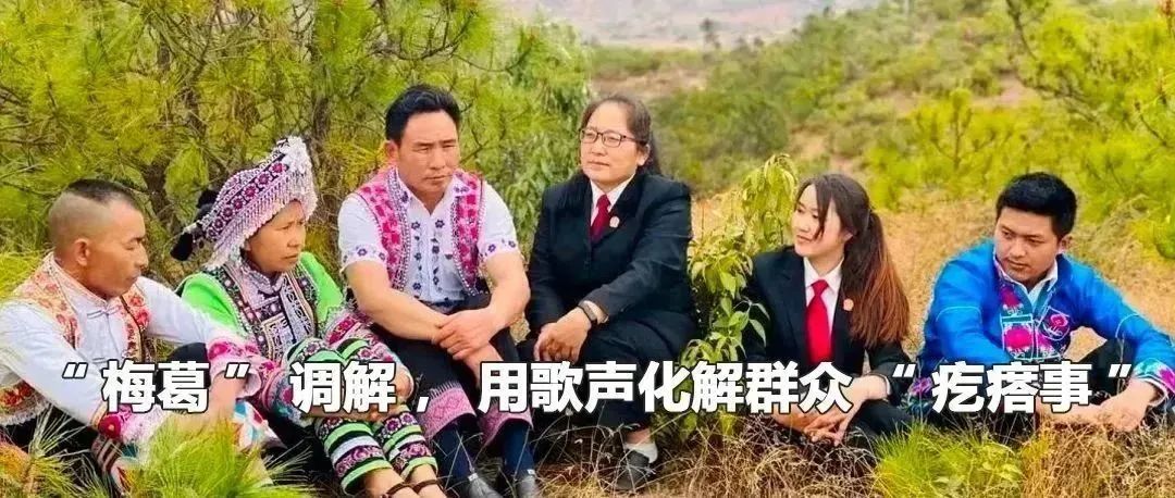 云南政法