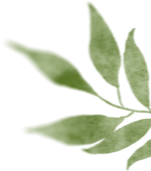 红河日报