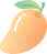 云南政法