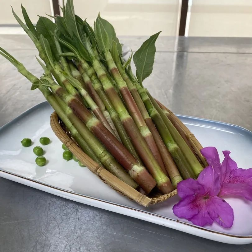 红河日报
