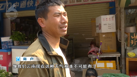 昆明信息港/cnkmxxg