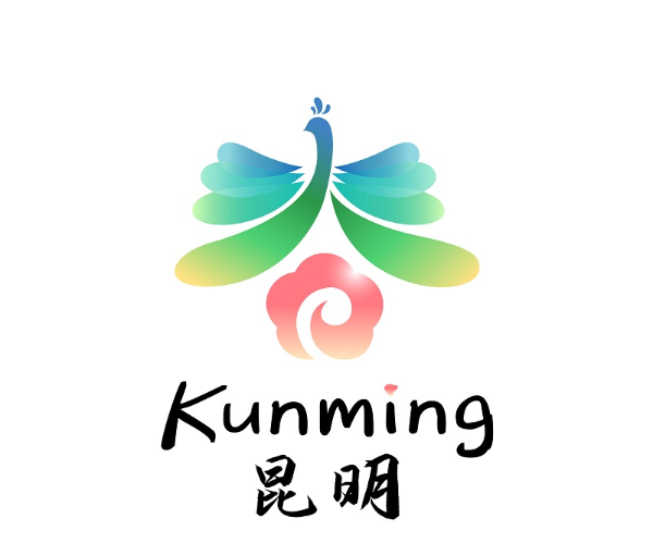 云南信息报