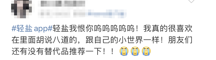 掌上春城