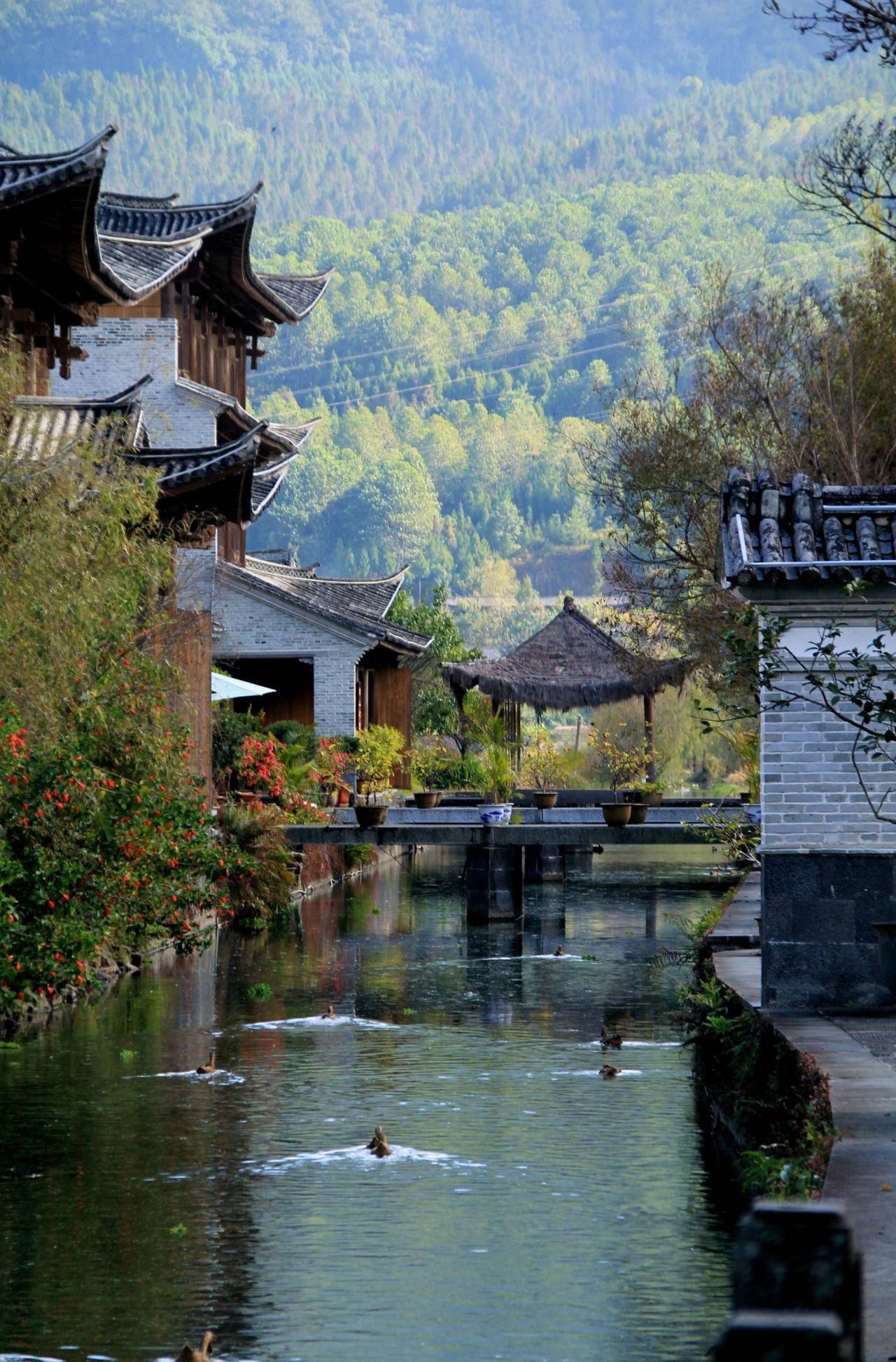 云南省文化和旅游厅