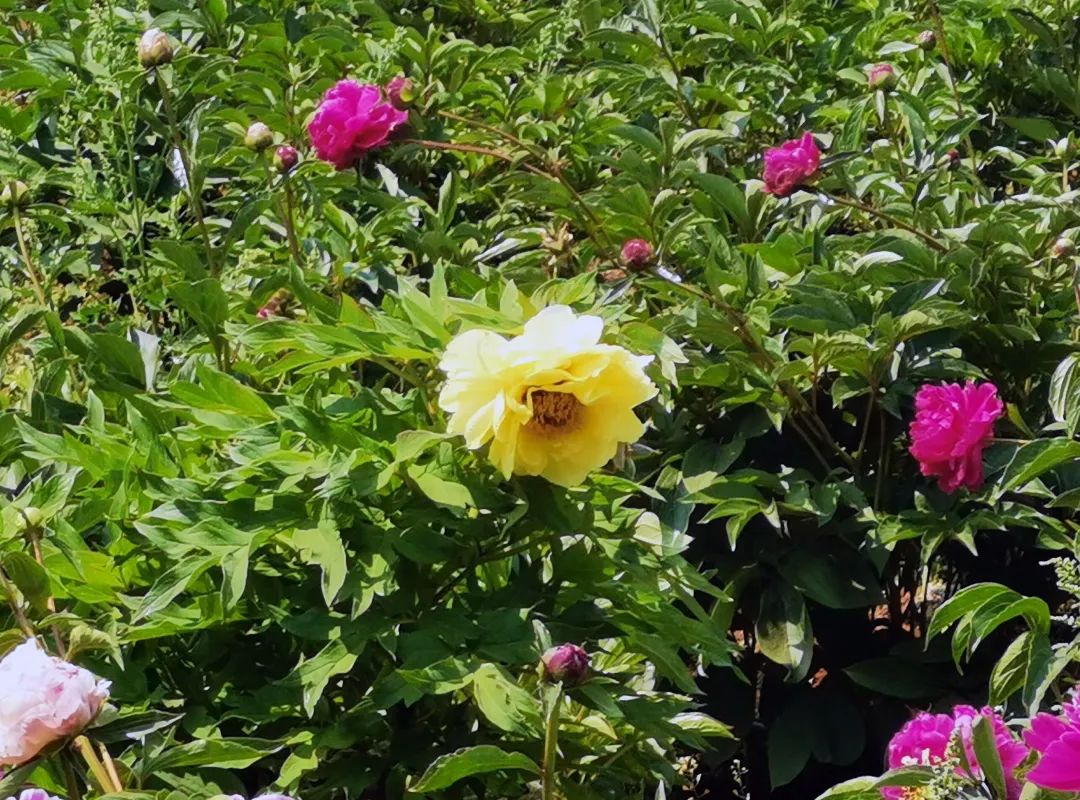 昆明信息港/cnkmxxg