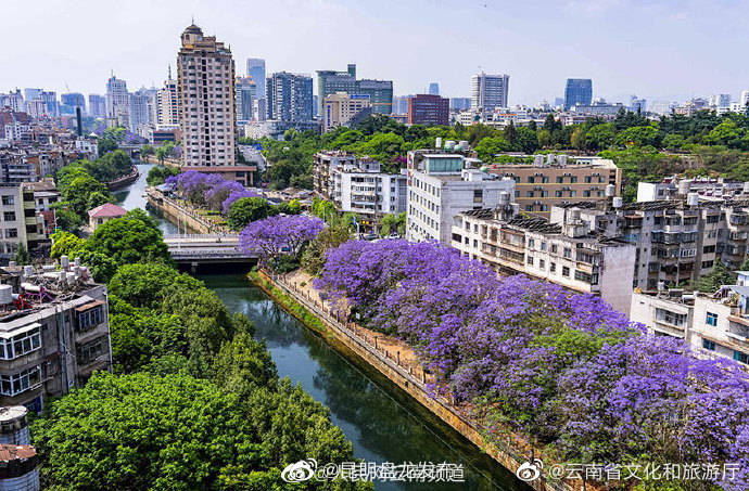 昆明盘龙发布