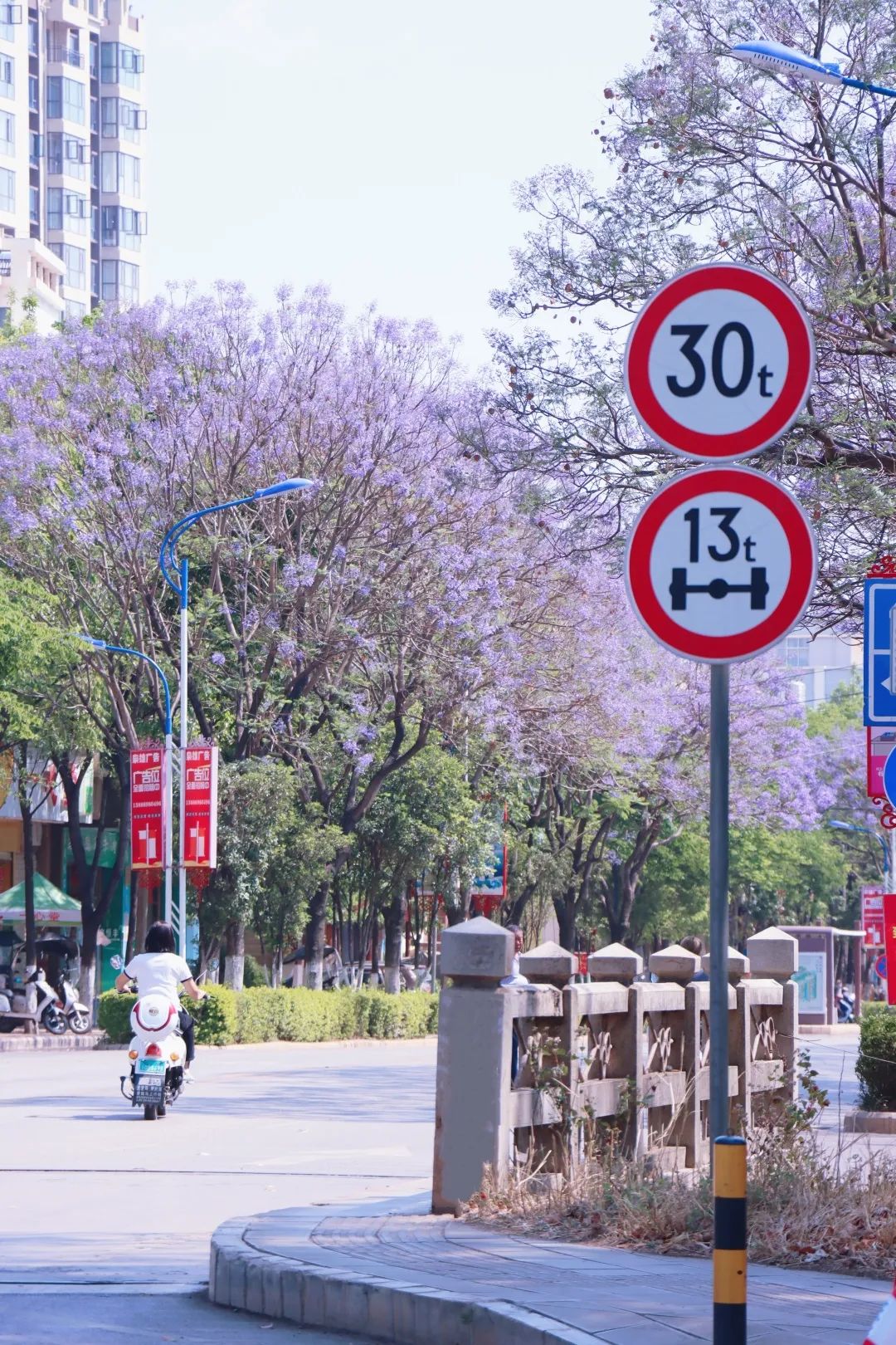 悦读嵩明