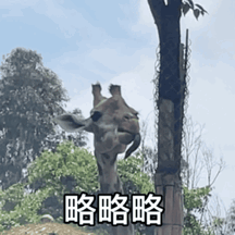 云南野生动物园