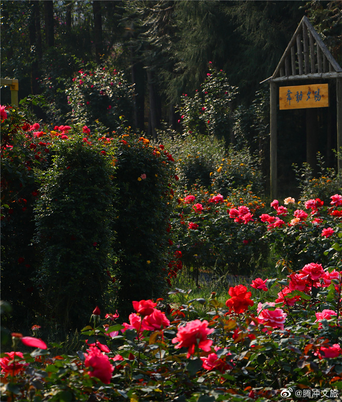 腾冲文旅