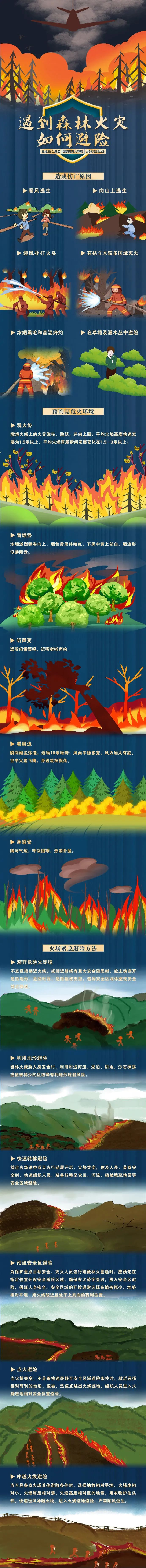 春城晚报