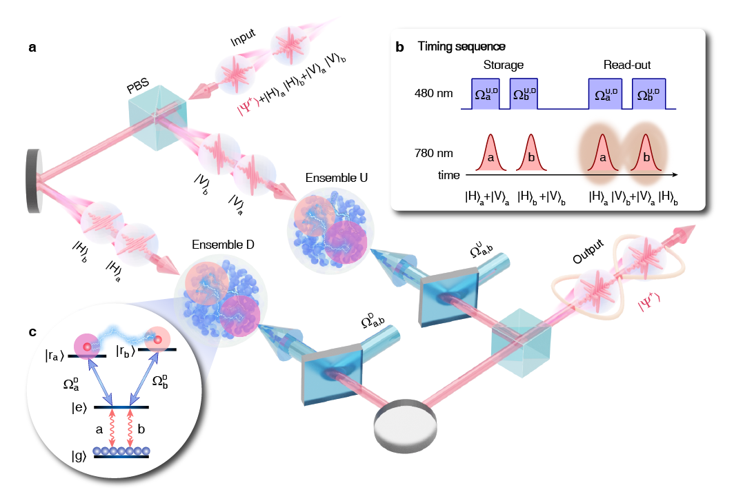 美丽云南微科普