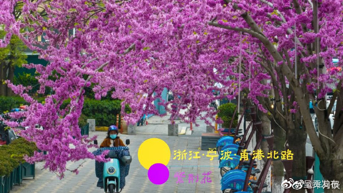 呈贡发布
