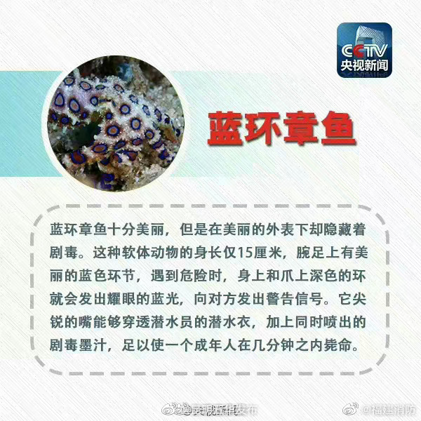 昆明五华发布