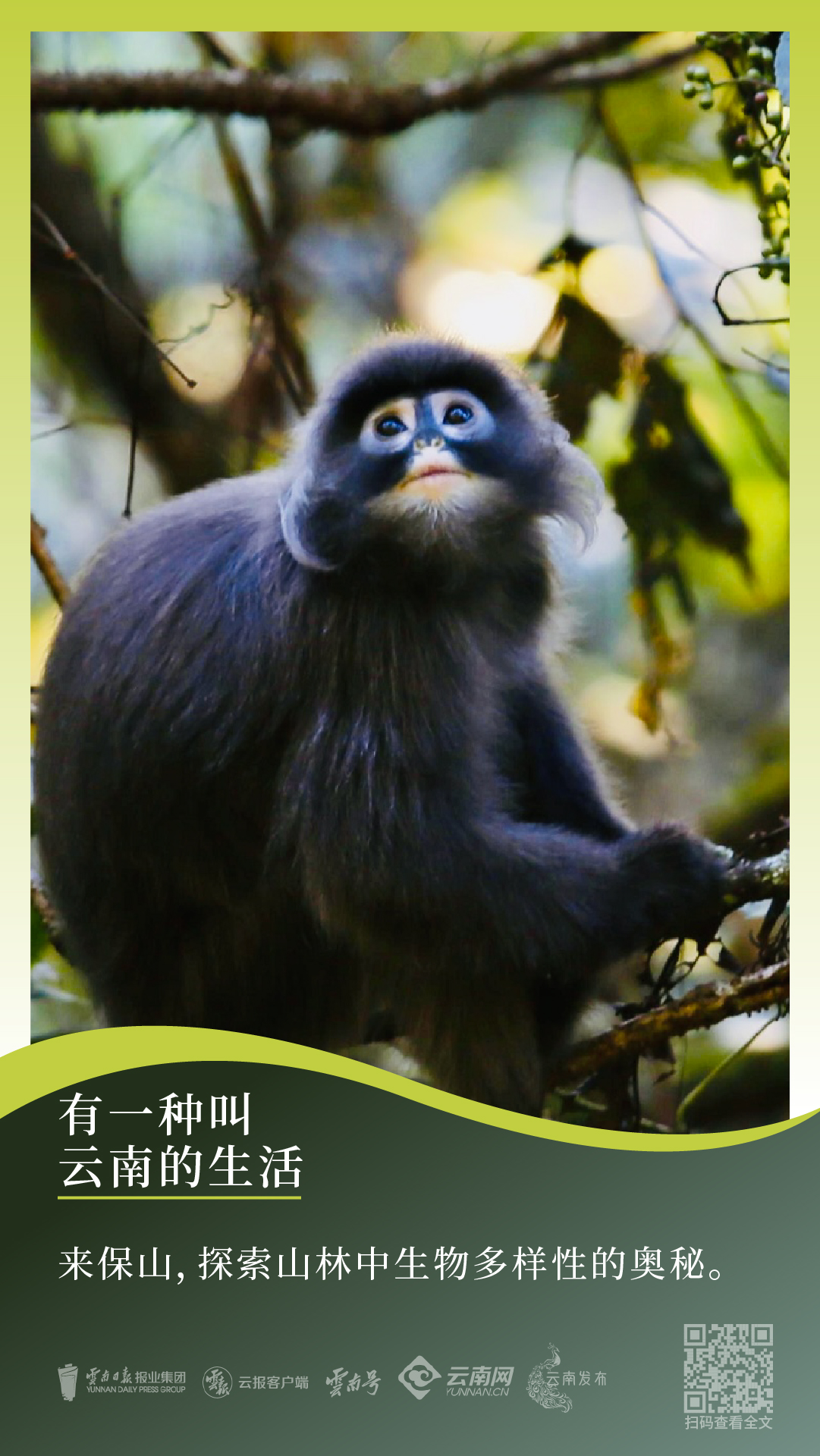 云南省文化和旅游厅