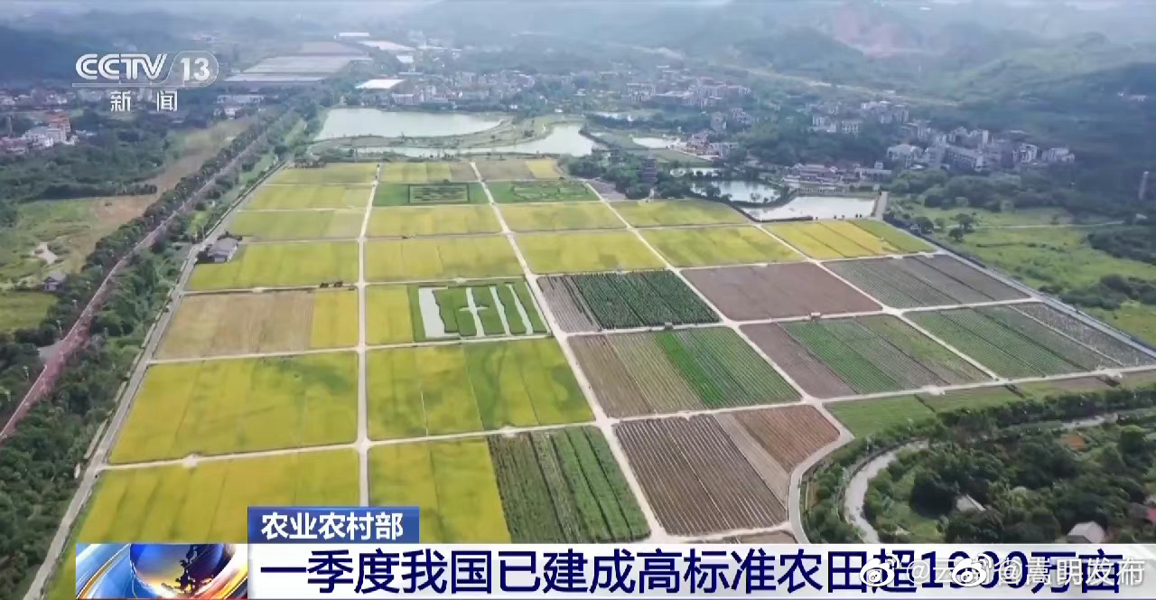 农业农村部：一季度我国已建成高标准农田超1900万亩