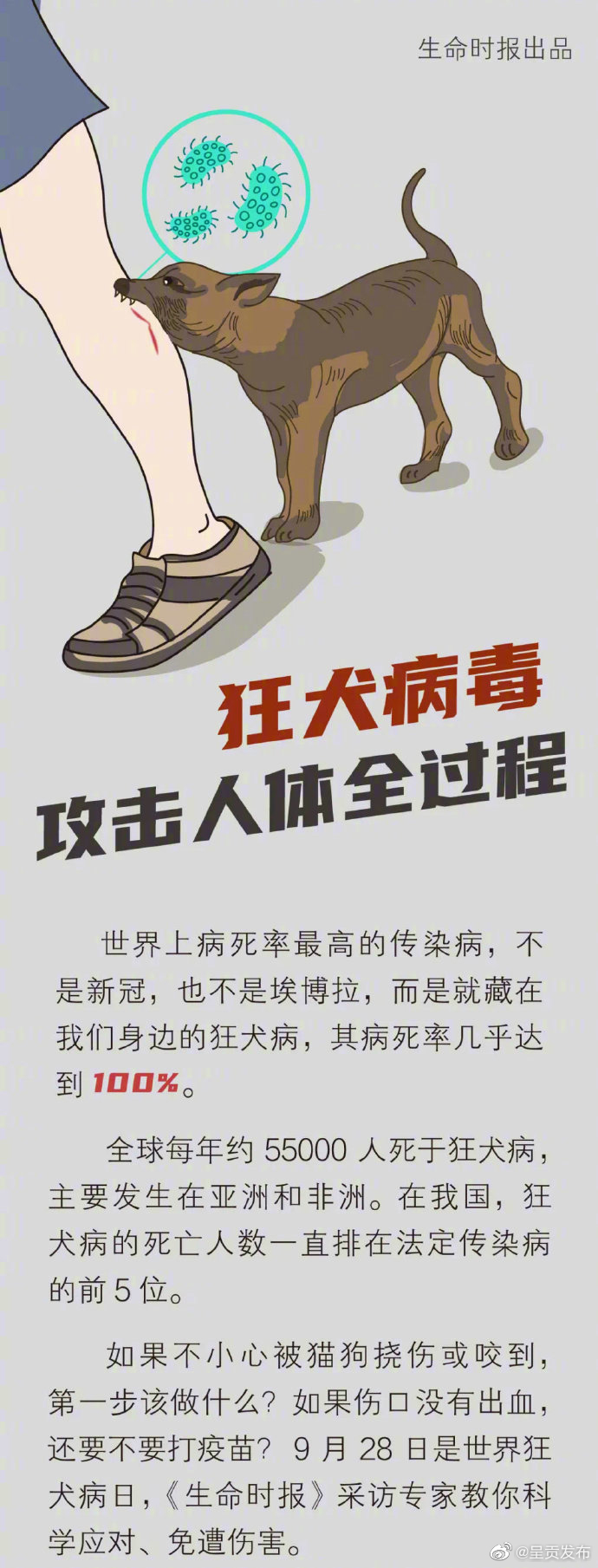 呈贡发布