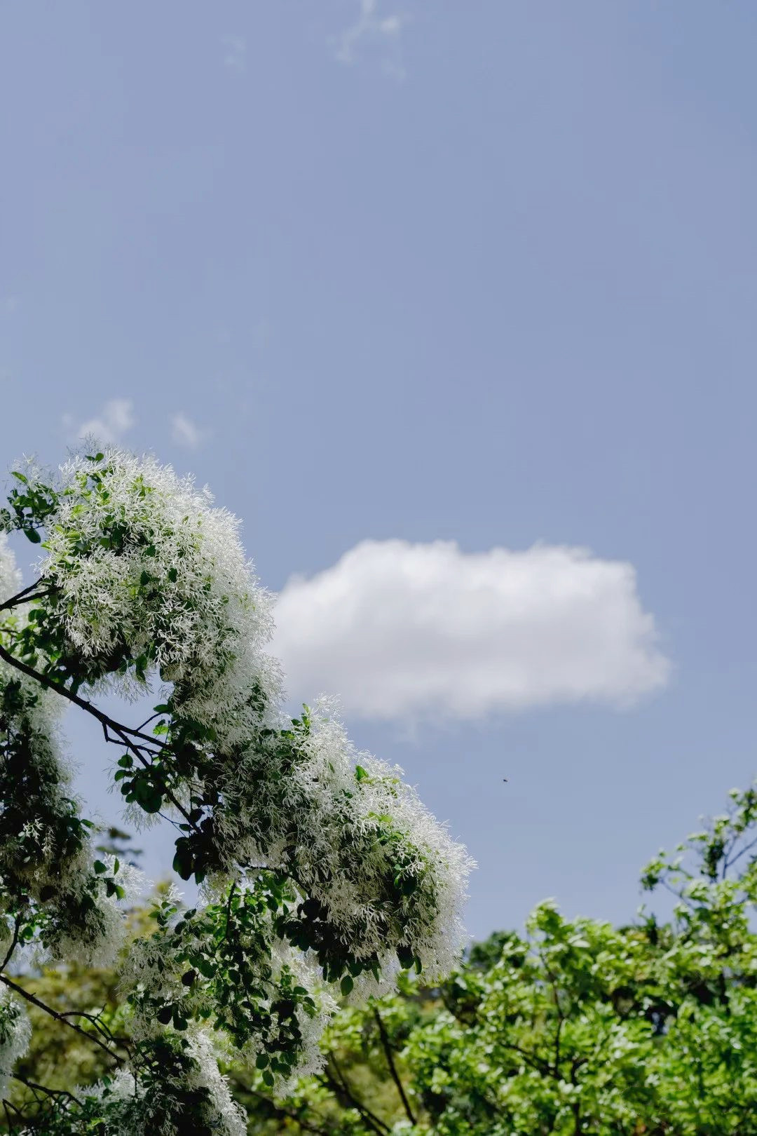 云南省文化和旅游厅