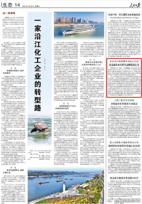 打击破坏水生野生动物资源行为（人民日报）
