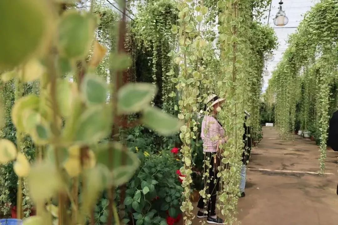 悦读嵩明
