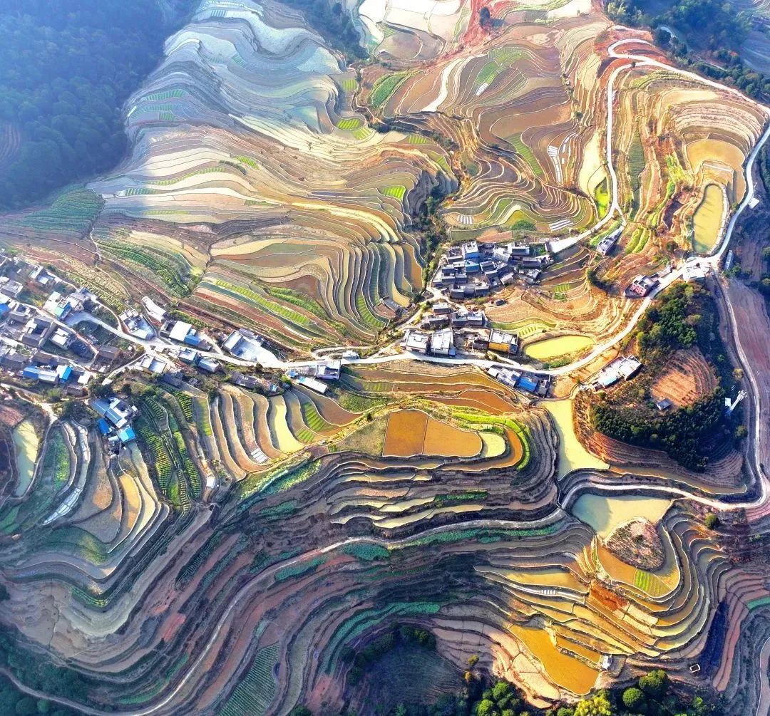 云南省文化和旅游厅