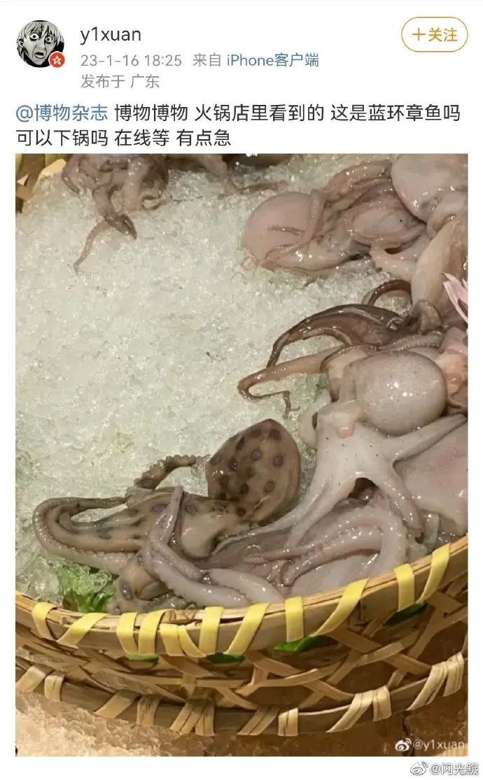 掌上春城