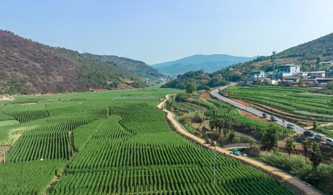 晋宁诗意的栖居地