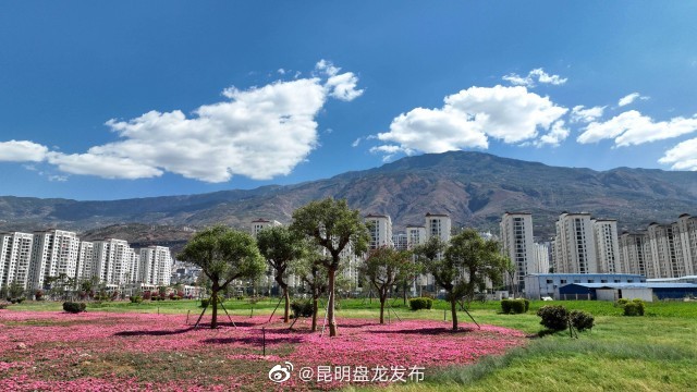 昆明盘龙发布