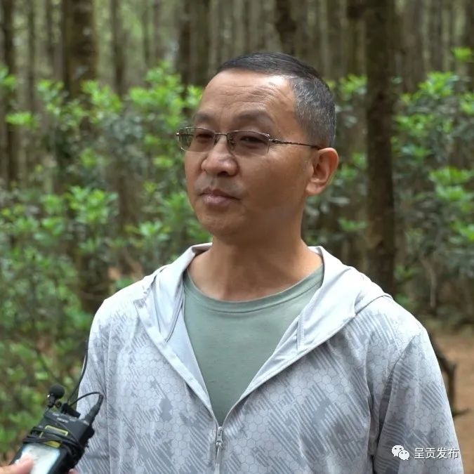 呈贡发布