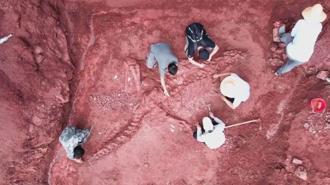 云南省文化和旅游厅