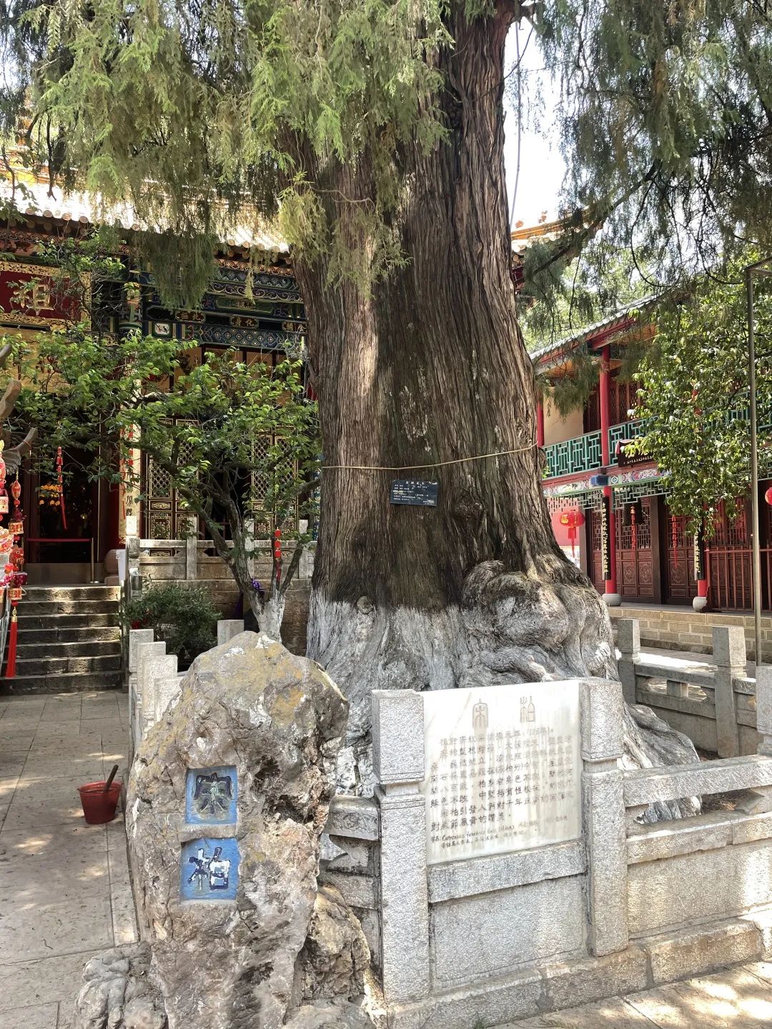 盘龙统战