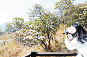 新华网云南频道