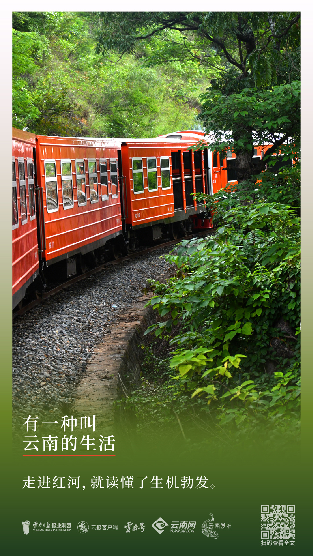 云南省文化和旅游厅