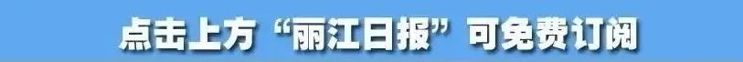 丽江日报