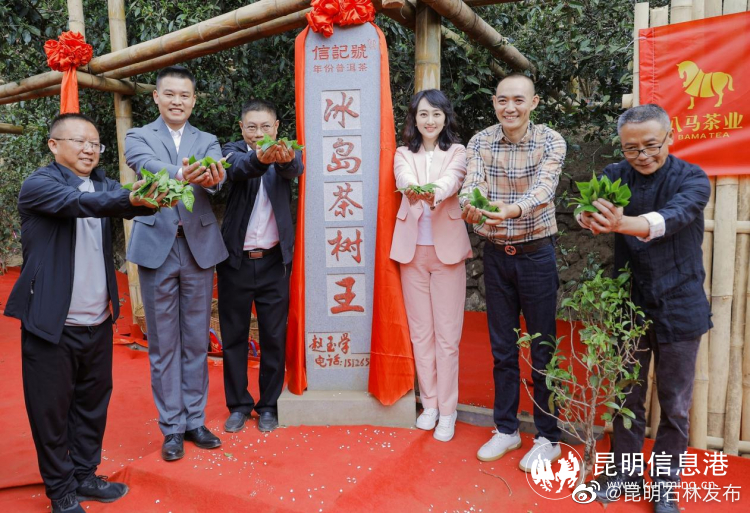 昆明石林发布