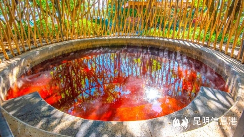 昆明市文化和旅游局