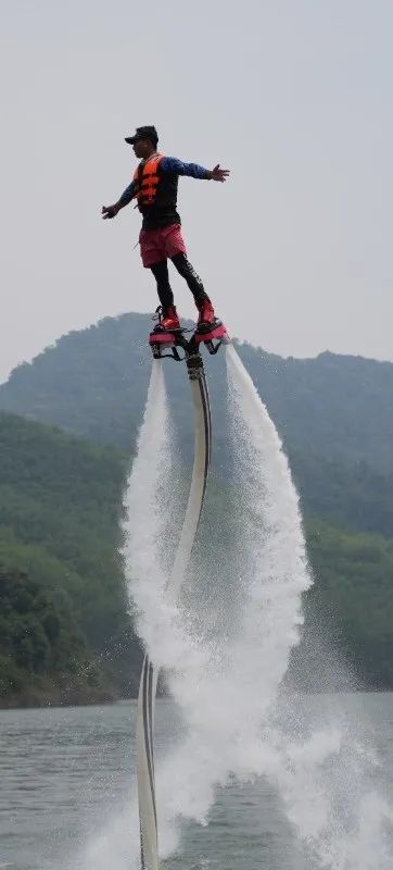 西双版纳望天树景区