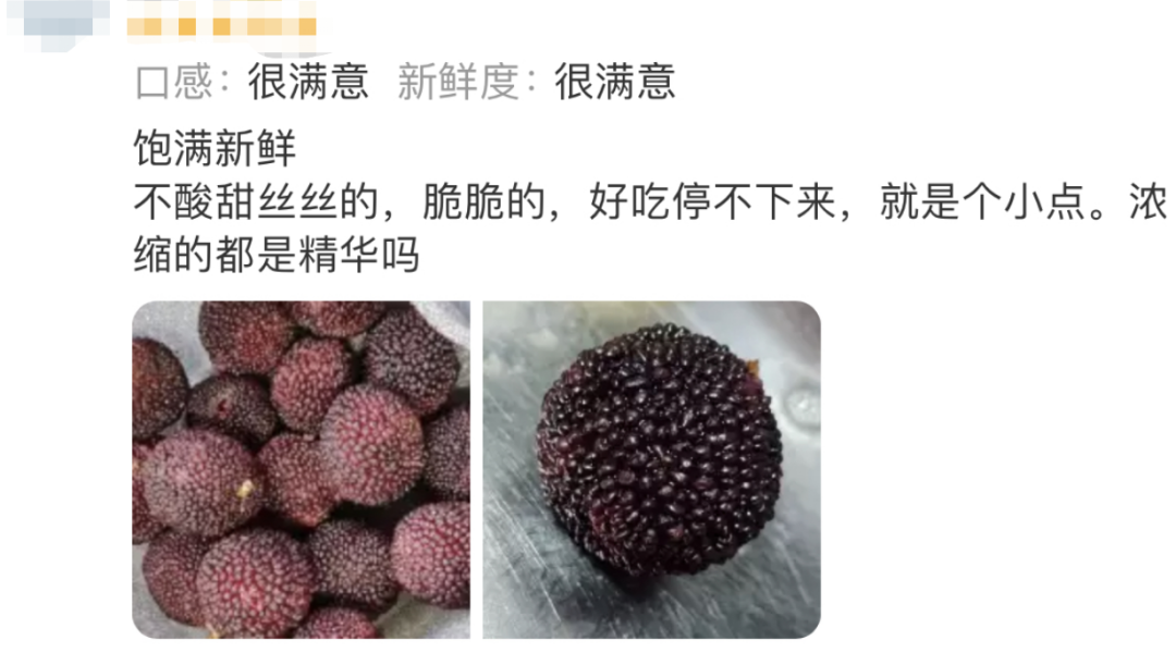 春城晚报