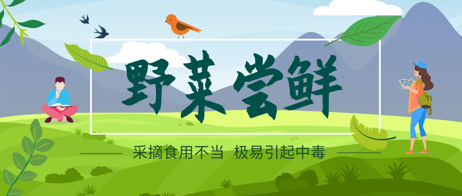 微观盘龙
