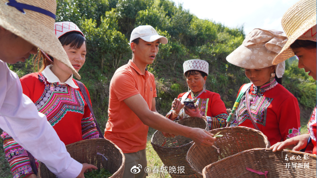 绿春春常绿 | 张来忠：以青春芳华做乡村振兴逐梦人