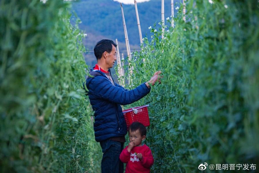 昆明晋宁发布