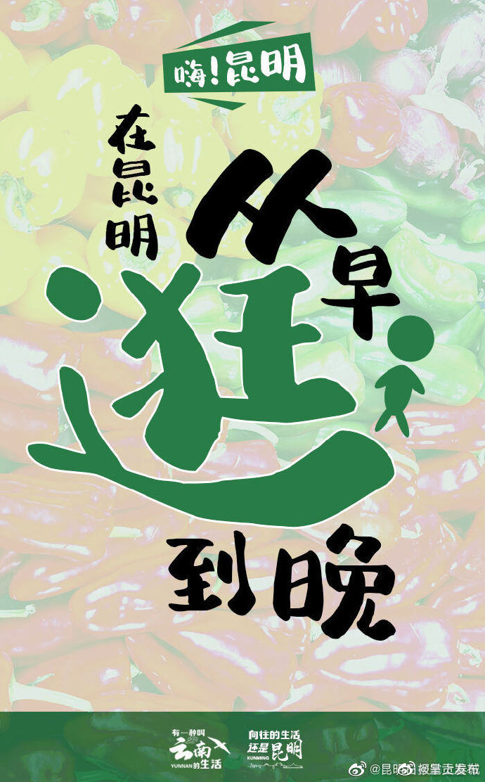 呈贡发布