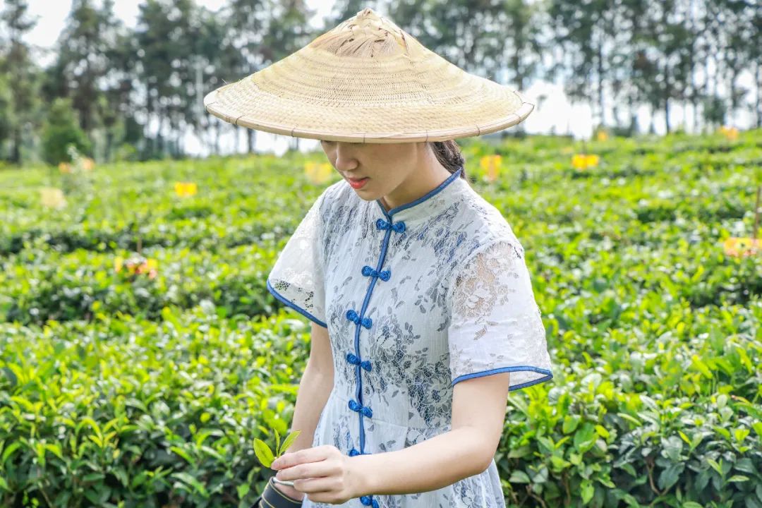 保山广播电视台