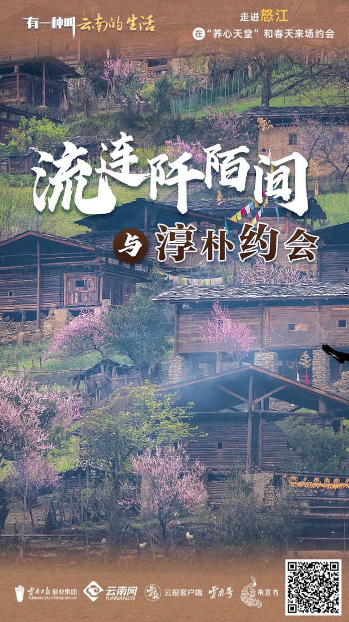 云南省文化和旅游厅