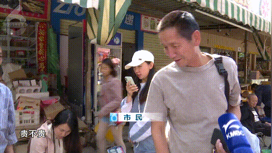 掌上春城